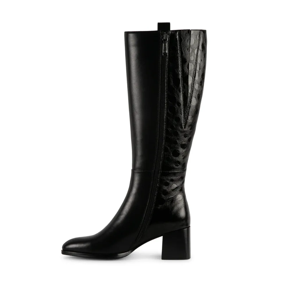 ALDONA - B7975