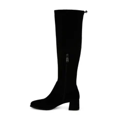 CELESTIS - B7974