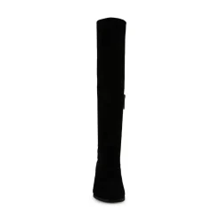 CELESTIS - B7974
